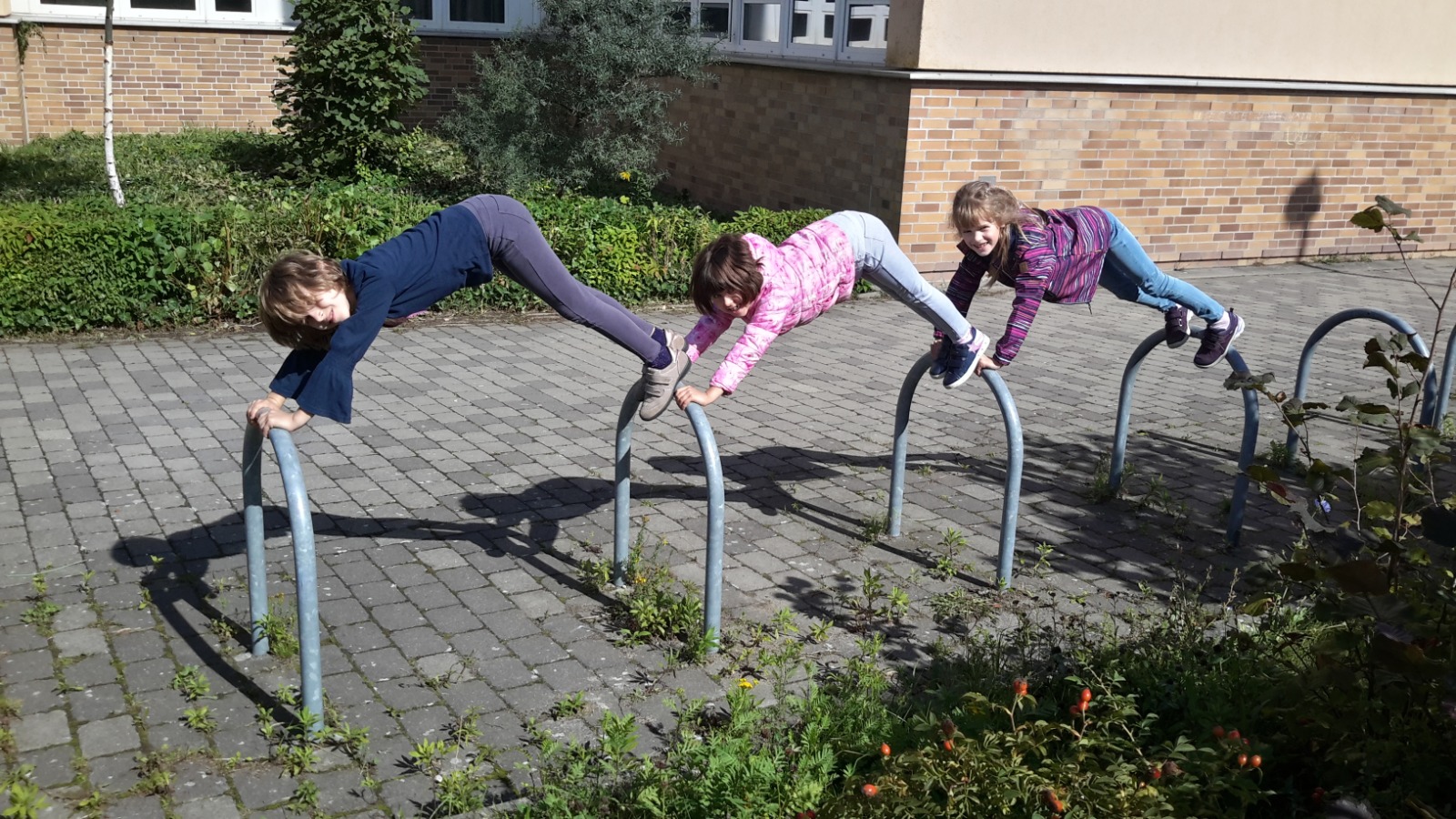 Vorschau
